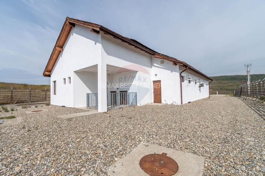 Ferma moderna de porci de vanzare in Curtuiusu Dejului - 17