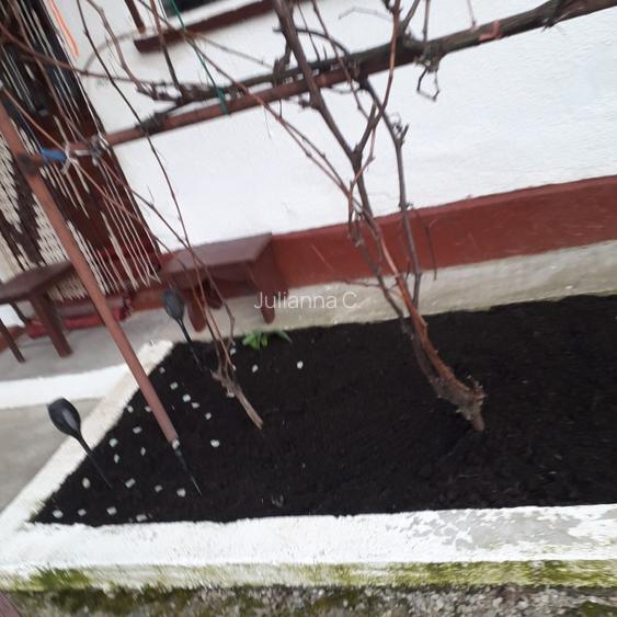 Casă cu panoramă la pădure, aproape de lacul de agrement  - 2