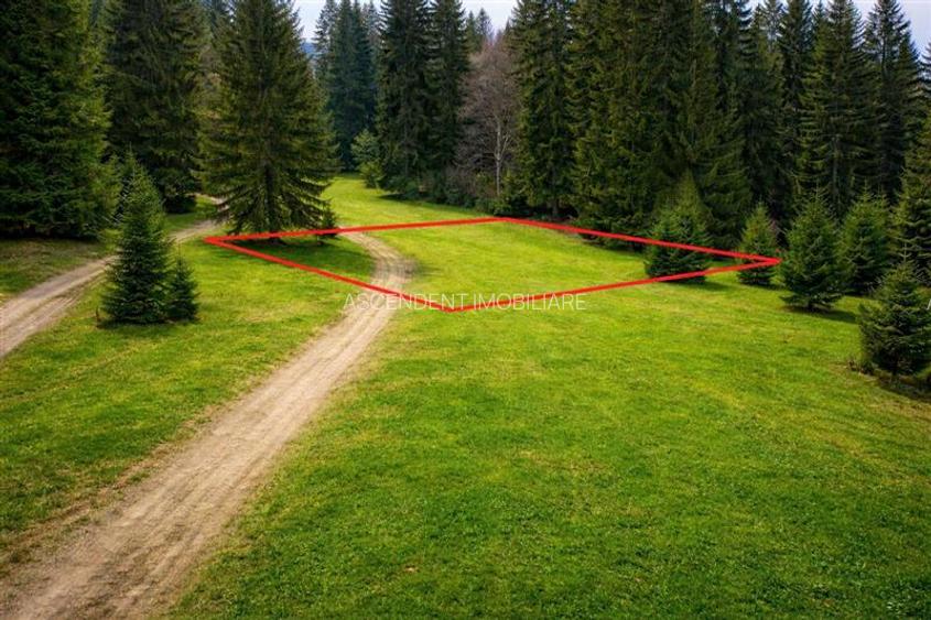 Teren cu potential:1.000 mp,proiect turistic/rezidential,Poiana Brasov - 3