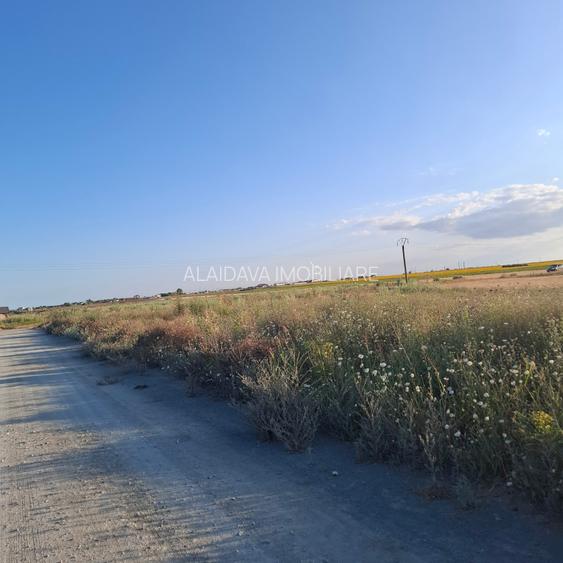 Corbu-faleza-loturi de 515mp - 6