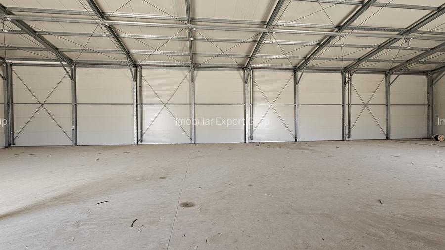 Hale noi in zona industriala Progresul, Jilava - 3