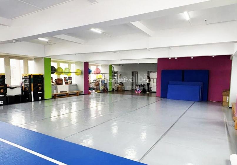 Calea Chisinaului, spatiu birouri 240mp, clasa A, disponibil imediat - 2