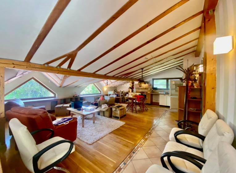 Vila de lux lângă Curtea Domnească – investiție premium Târgoviște, teren 1.700 - 54