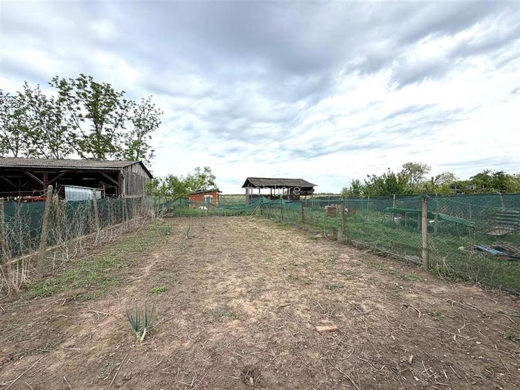 CASA CU TEREN 1081 MP | ACCES AUTO | ZONA SACUIENI | LOCALITATEA CADEA | BIHOR - 24