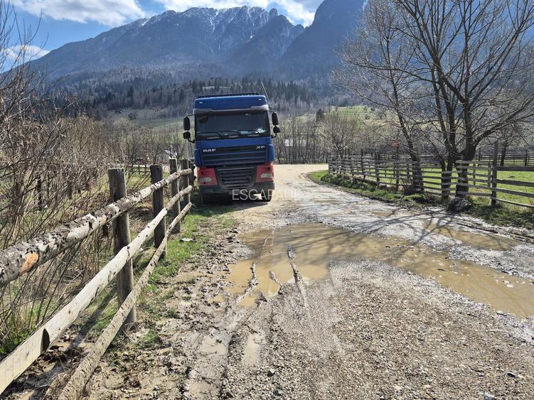 Teren superb intravilan 1200 mp, Plaiul Foii, vedere la munte - 12