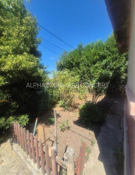 23 August teren intravilan 1400 mp + casa 5 camere central - 6