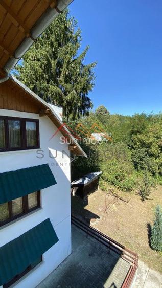 Vila de vanzare, teren 3100 mp, 7 camere, 6 grupuri sanitare, 3 CT, an 1997 - 43