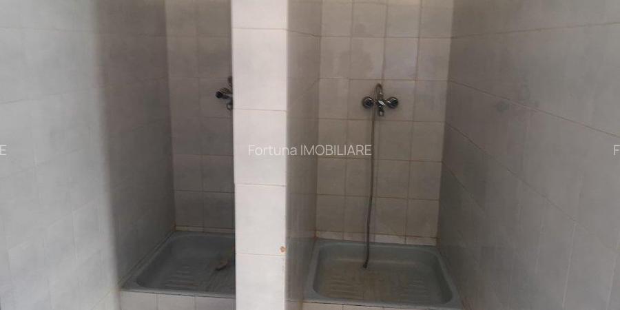 Hala  Brasov Zona Bartolomeu - 3