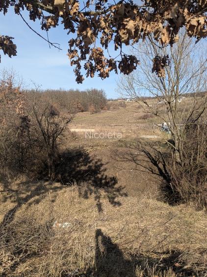 De vânzare teren intravilan 3444 Betfia - 2