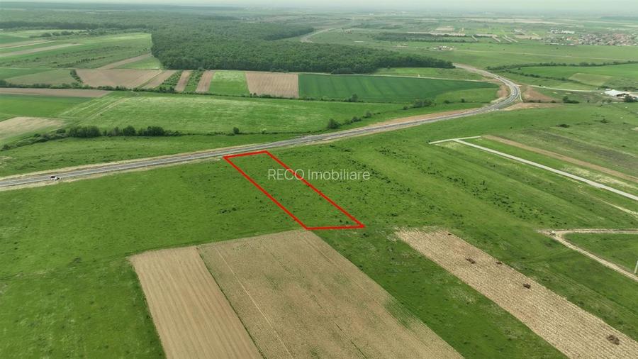 RECO Teren intravilan, zona Inelului Metropolitan - 5