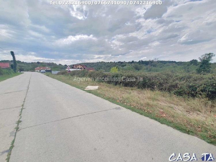 Teren Intravilan (1000 mp),situat in Danesti -Vacarea - 5