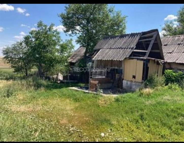 Reco  Teren 5800 mp in Ghenetea | Strada asfaltata recent - 4