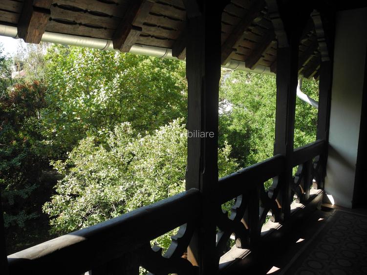 ETAJ VILA DACIA-VEDERE DIRECT PARCUL IOANID - 4