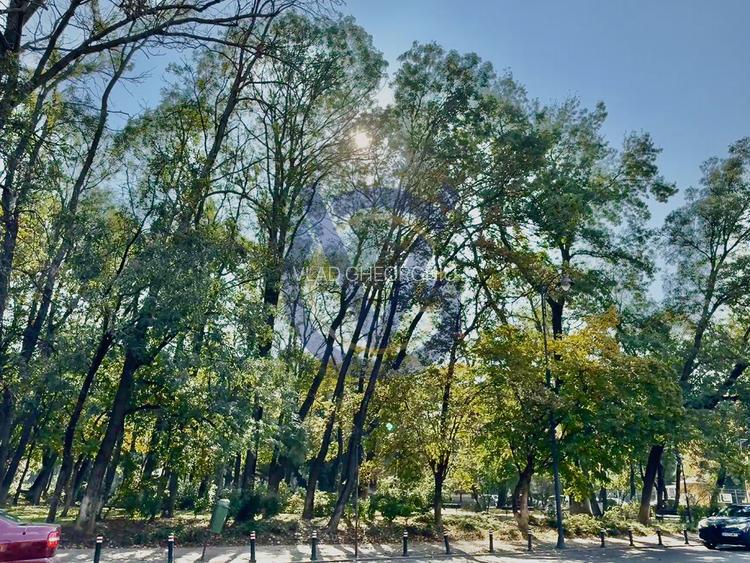 Vezi Parcul Kiseleff! Apartament spectaculos, 4 camere, 175mp - COMISION 0% - 40