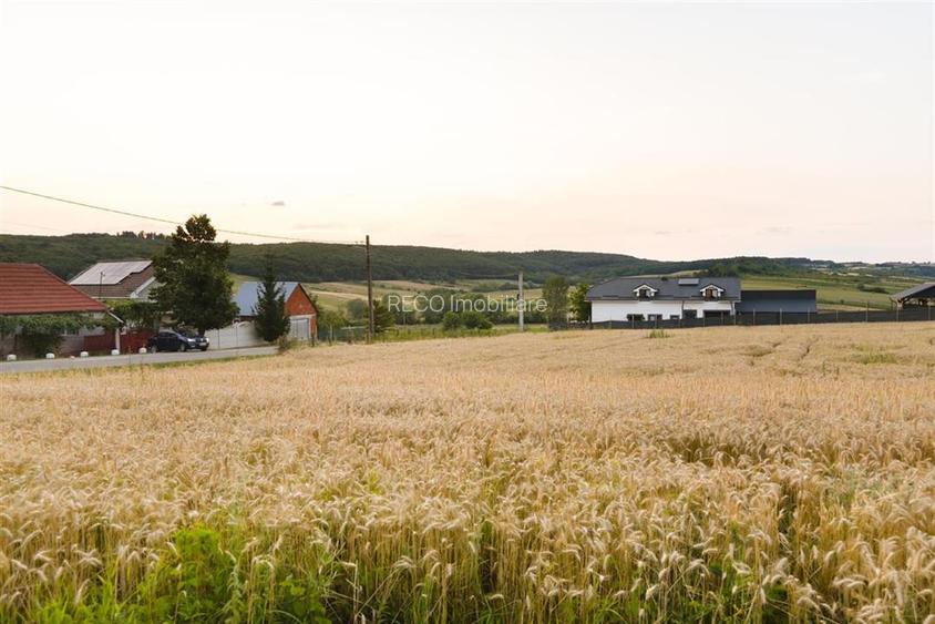 RECO Teren intravilan pentru casa 1000 mp Lazareni - 5