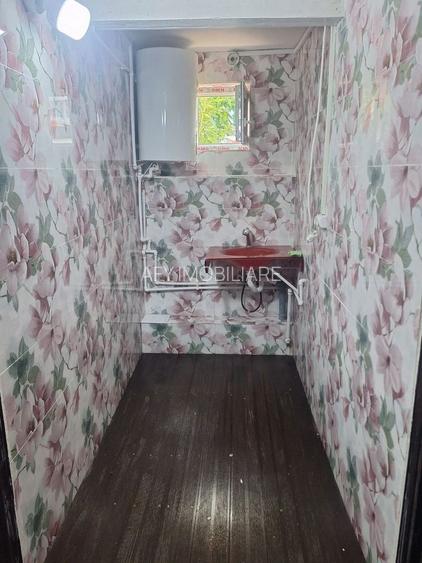 De Vanzare Casa 7 Camere Piata Operei - Plevnei - 29