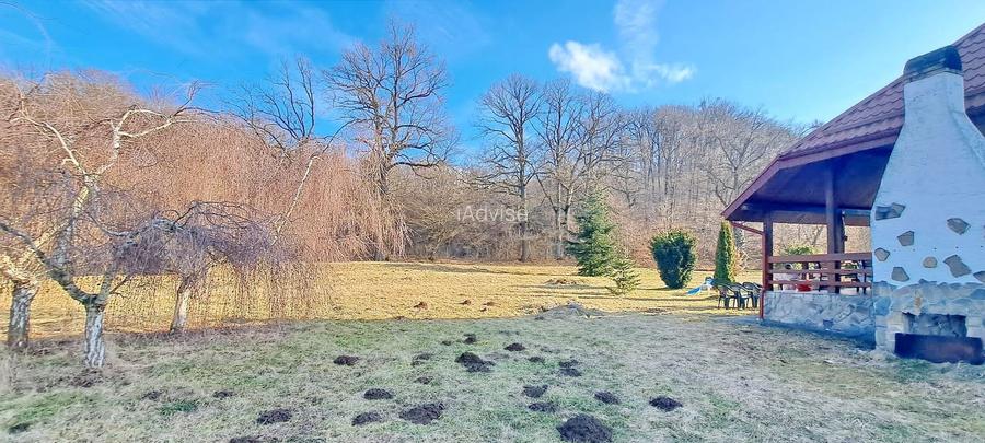 Propriete superbă la marginea pădurii în Râșnov Primăverii 5,000 mp - 6