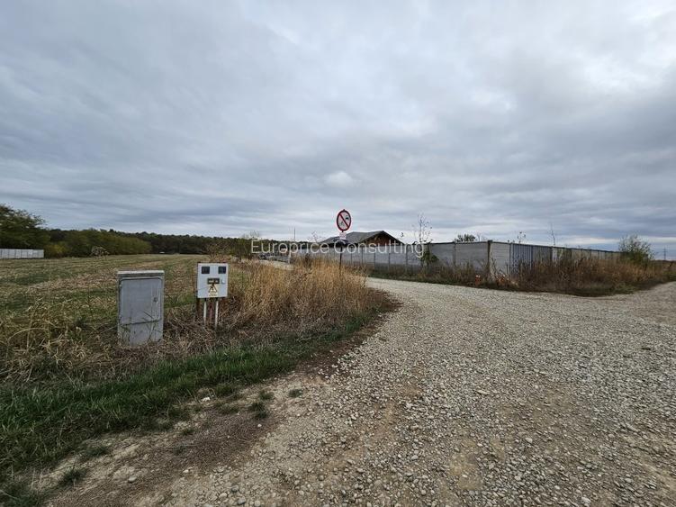 SNAGOV  TANCABESTI- STRADA MIHAI EMINESCU - 7