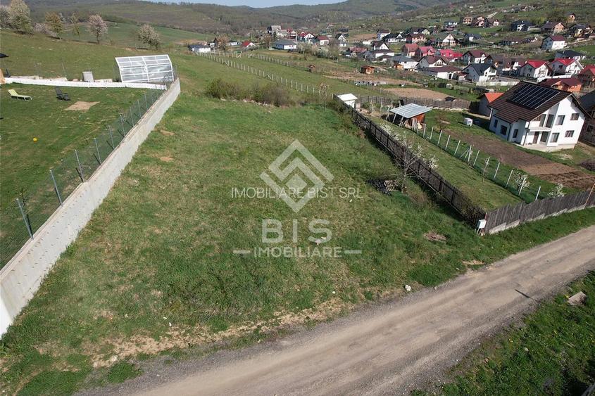 Teren de vanzare 10 ari - zona LEONI - 9