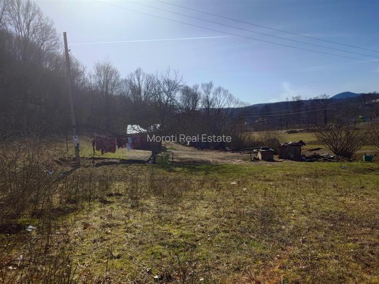 Teren intravilan la liziera padurii - 6