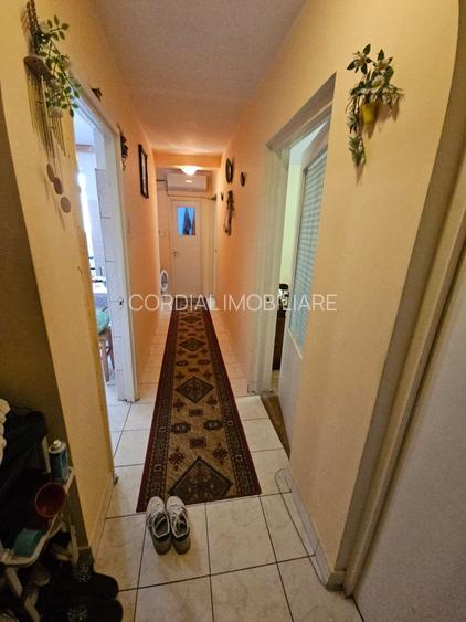 Alexandria centru Penny - 5