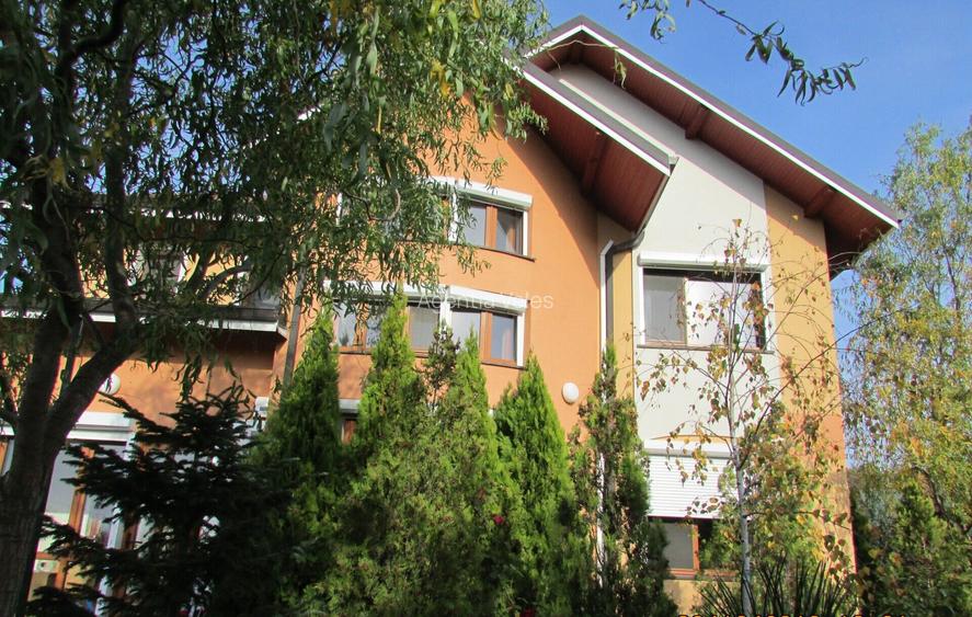 SNAGOV vila  spatioasa, curte amenajata, garaj, panouri fotovoltaice - 14