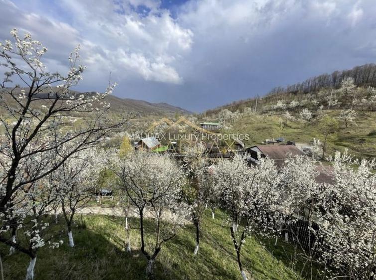 Casa de vacanta**Panorama spectaculoasa//Provita de Jos_Prahova - 5