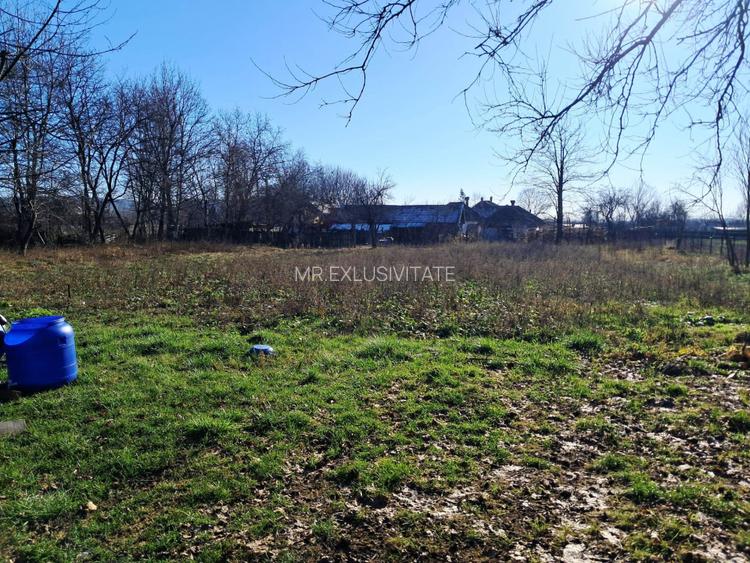 Casa si teren de vanzare Polovragi - 9