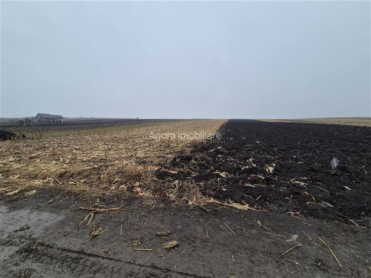 Teren intravilan Moara Carp - zona Ponoare - 2