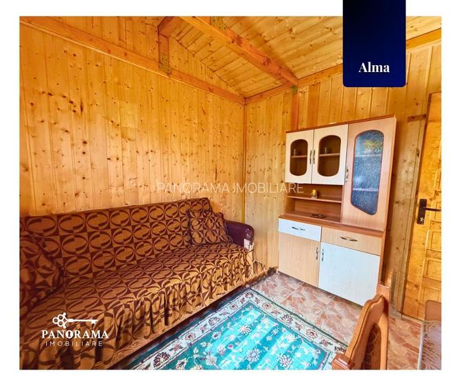 Teren Intravilan cu cabana  in satul transilvanean Alma - 12