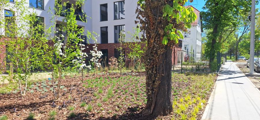 Apartament de 3 camere Timisoara, central,  81.2 mp utili - 4