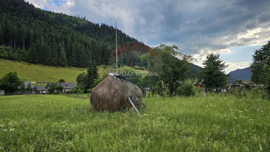 Casa 225 mp, teren intravilan 4822 mp C. Moldovenesc, Suceava - 8