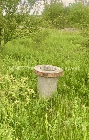 Teren in Butimanu cu Deschidere la Lac-Jud. Dambovita - 8