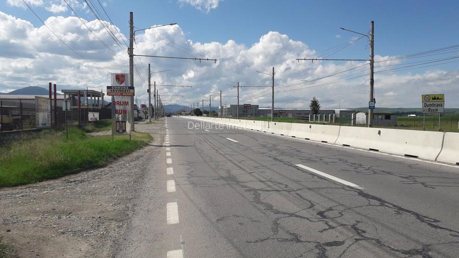 Teren intravilan 8900 mp,Dumbrava Rosiejud Neamt - 5