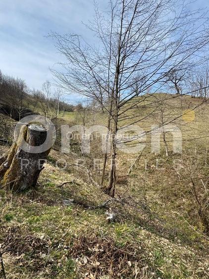 Teren intravialn | 6476 mp | Ulmoasa | zonă superbă - 4