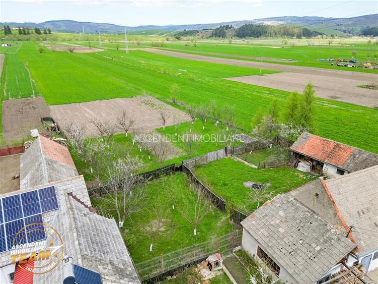 Ansamblu:doua case+anexe+domeniu de 10.101mp, Intorsura Buzaului,Covasna: FILM& - 29