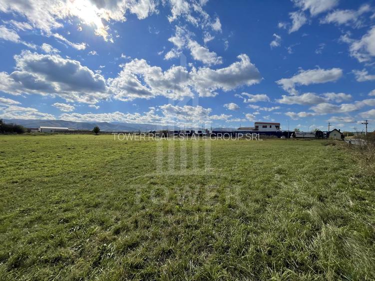 Teren industrial de vânzare în Cristian – 6.000 mp, deschidere la drum asfaltat - 7