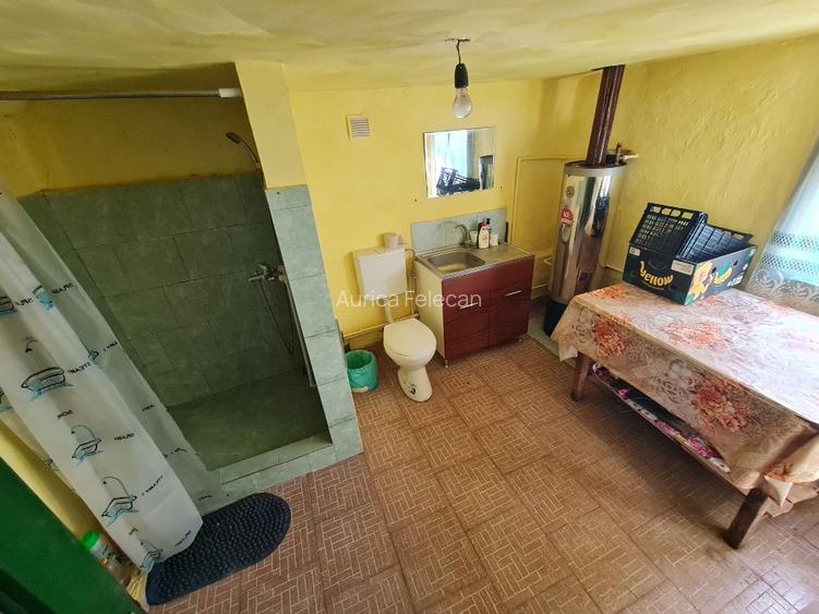 Proprietar vand casa+ teren 13000mp, Steia, Tomesti, jud. Hunedoara, 20km de Bra - 11