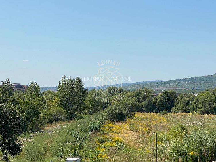 Teren 4100 mp - oportunitate investitie - Bistrita Zona Ranahum - 3