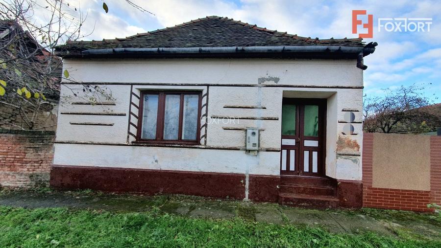 Teren intravilan de 1300 mp, Asfalt - Jebel - 2