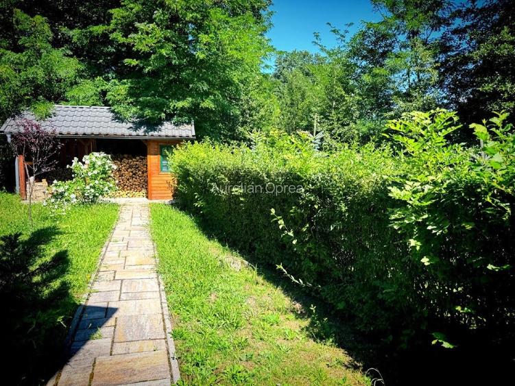 Casă de vacanță tip Chalet pe Valea Muresului  - 5