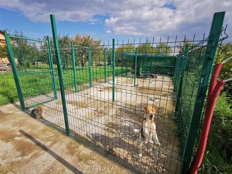 Vila Deosebita Rudicica - 11