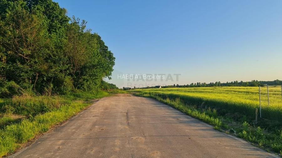 Teren | Poiana Ciolpani | Iris Orangerie - 6