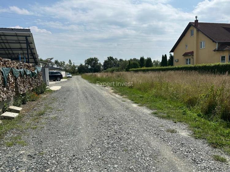 Teren intravilan de constructii - deschidere la 2 strazi 24 ml / 40 ml Selimbar - 6