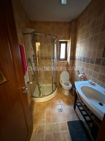 Proprietate deosebila in vecinatatea Padurii Baneasa - 41