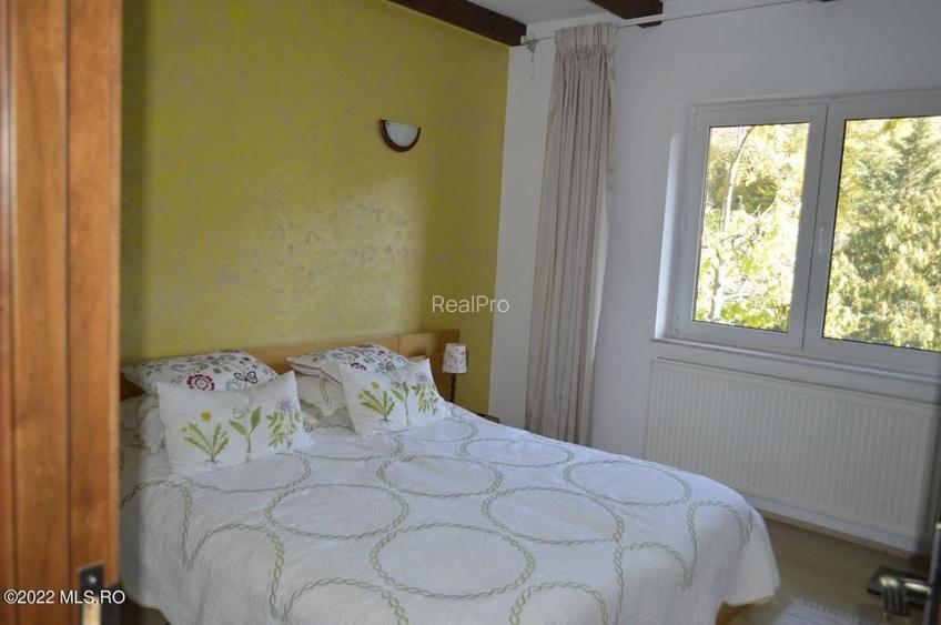 Topoloveni - Conacul Ion Mihalache, Domeniu pe 5 Hectare! - 27