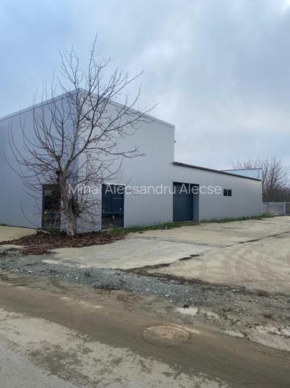 Închiriez, vand  hale industriale si spatii comerciale Bolintin Vale  - 2