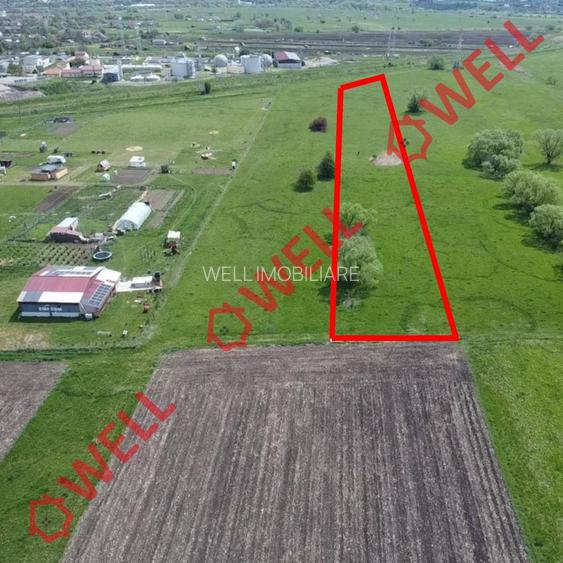 De vânzare teren extravilan în Sfântu Gheorghe! - 3