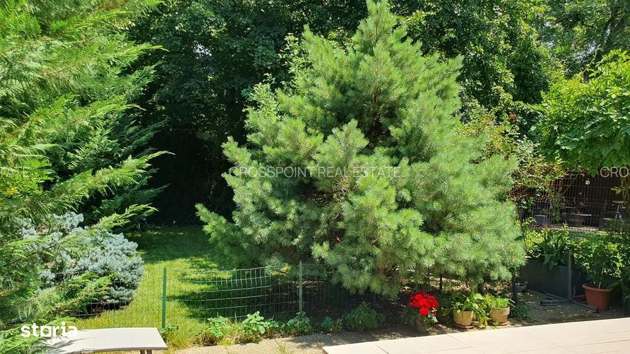 Vila de vanzare | Liceul Francez - 11