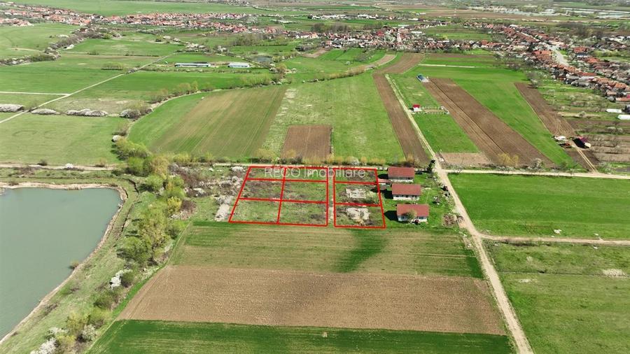 RECO, teren intravilan, Ineu,Bihor - 2